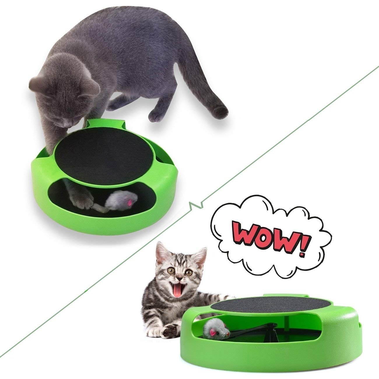 Pet Supplies